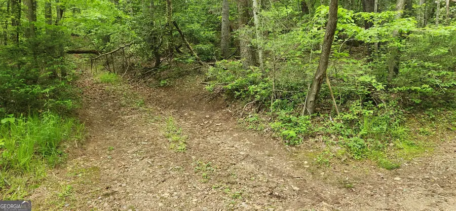 13 AC Goose Island Road, Ellijay, GA 30540 - #3