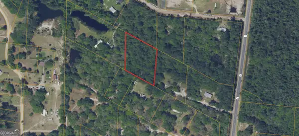 0 Twin Flower Trail, Hortense, GA 31543