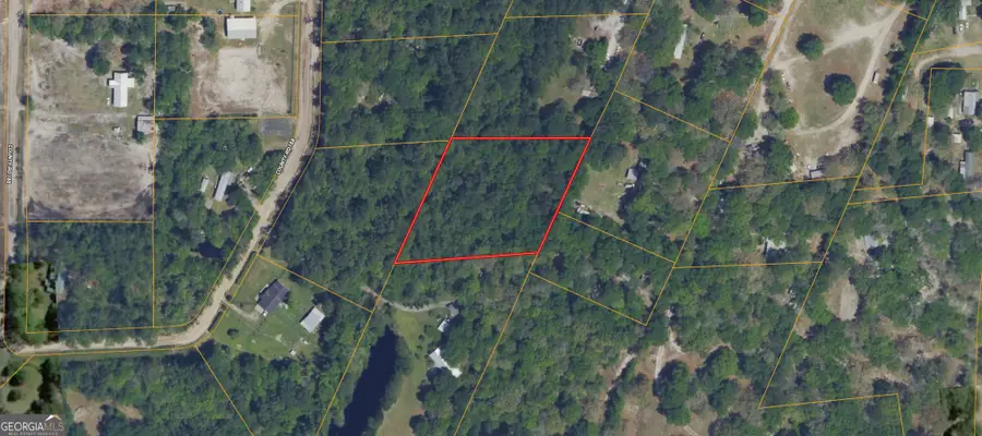0 Twin Flower Trail, Hortense, GA 31543 - #3