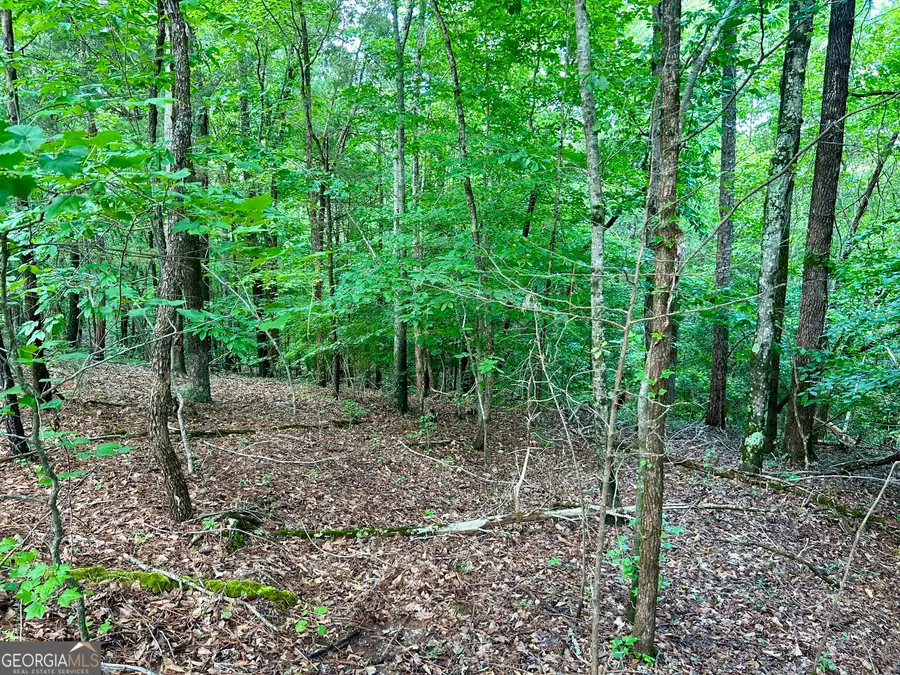 0 Big Oak Drive, Elberton, GA 30635 - #3