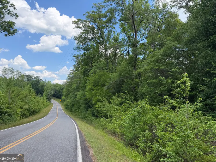 025 Long Branch Rd, Toomsboro, GA 31090 - #2