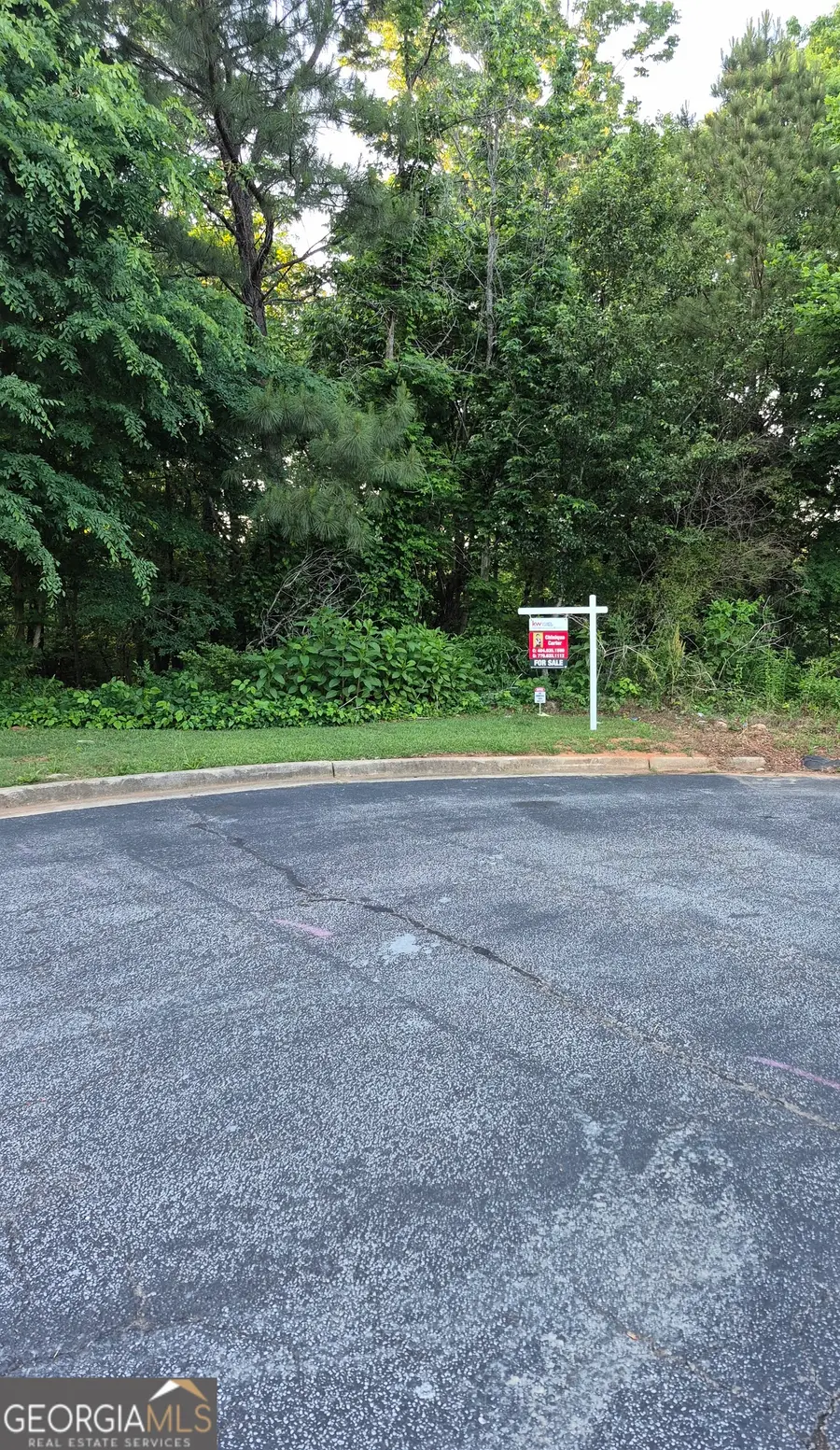 3163 Brighton Pass, Conyers, GA 30094 - #3