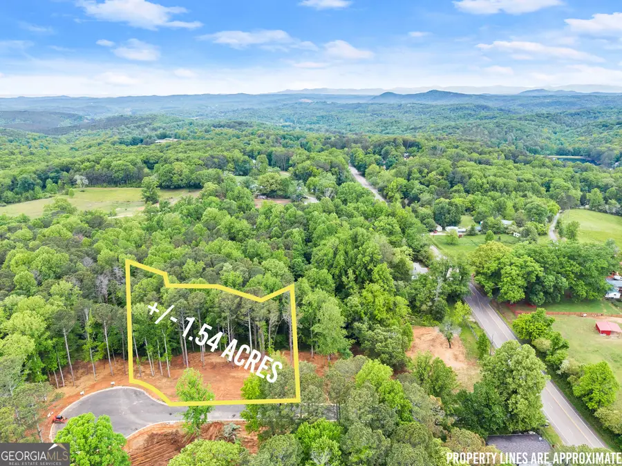LOT 6 Lowe Lane, Talking Rock, GA 30175 - #2