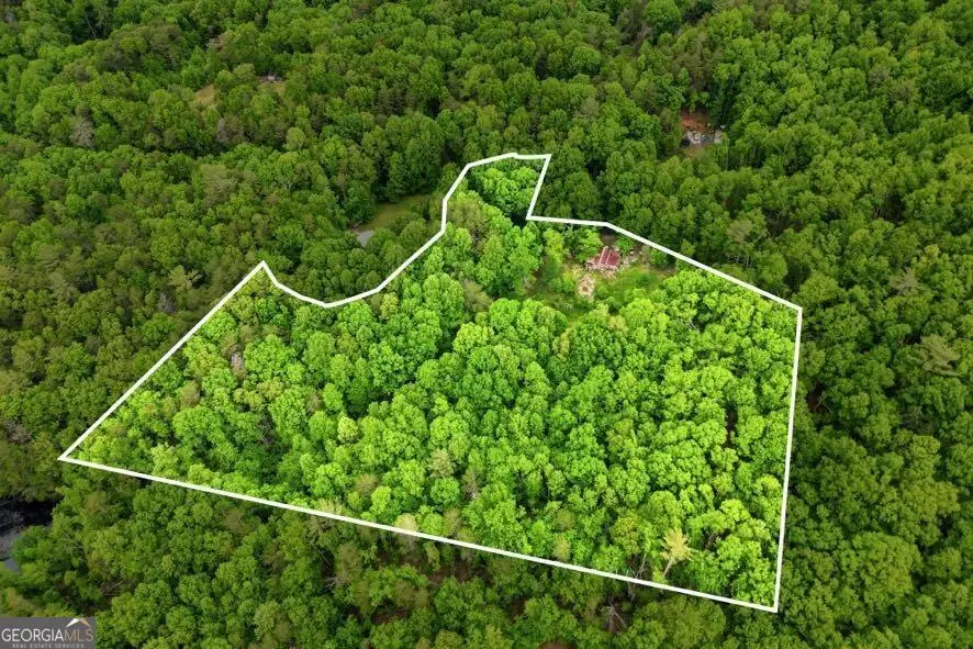 30 Tomcyn Lane, Ellijay, GA 30536 - #1
