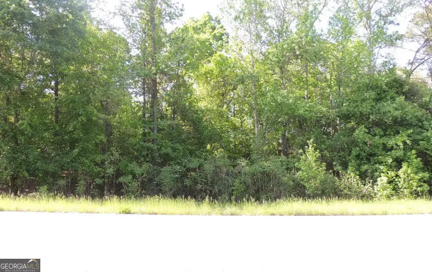0 Causey Rd, Knoxville, GA 31050 - #1
