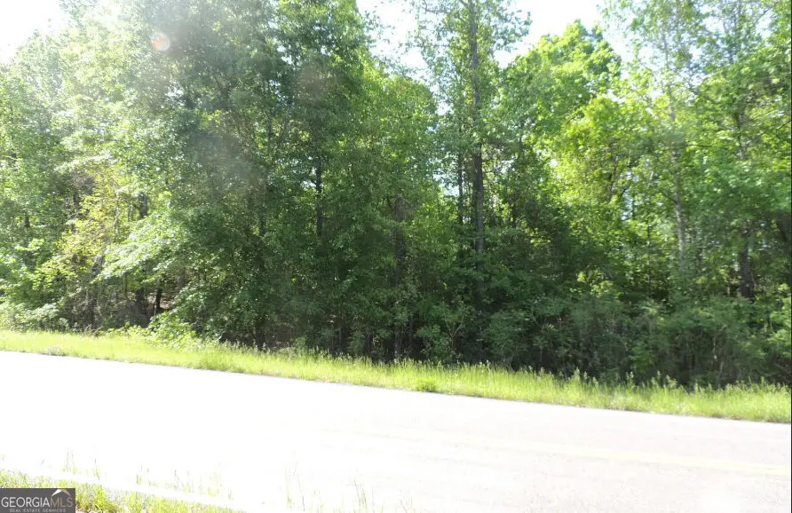 0 Causey Rd, Knoxville, GA 31050 - #2