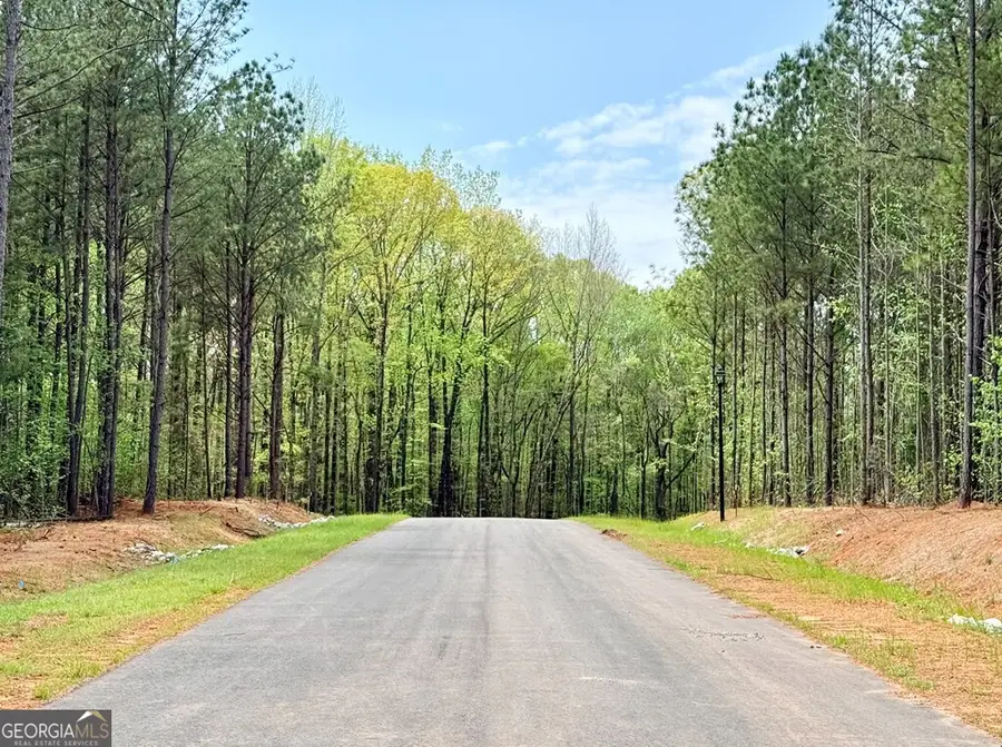 174 Rolling Meadows Way, Waverly Hall, GA 31831 - #3
