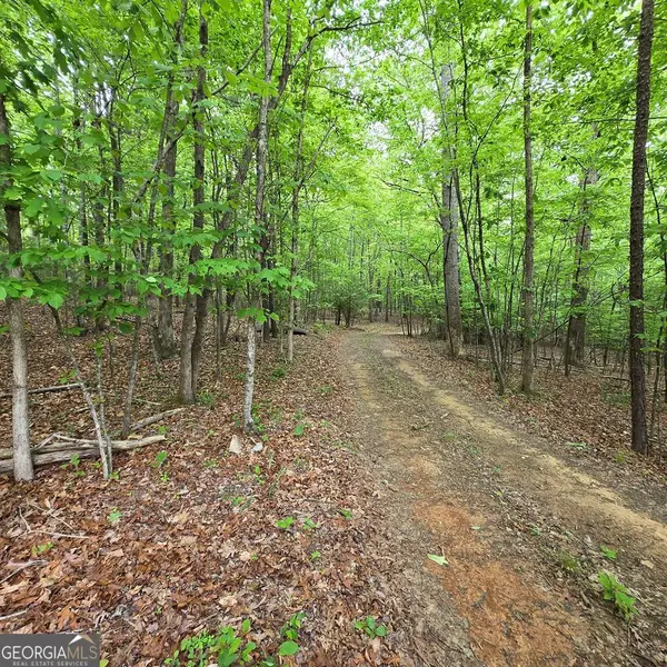 3.5ACRE Dusty Trail, Morganton, GA 30560
