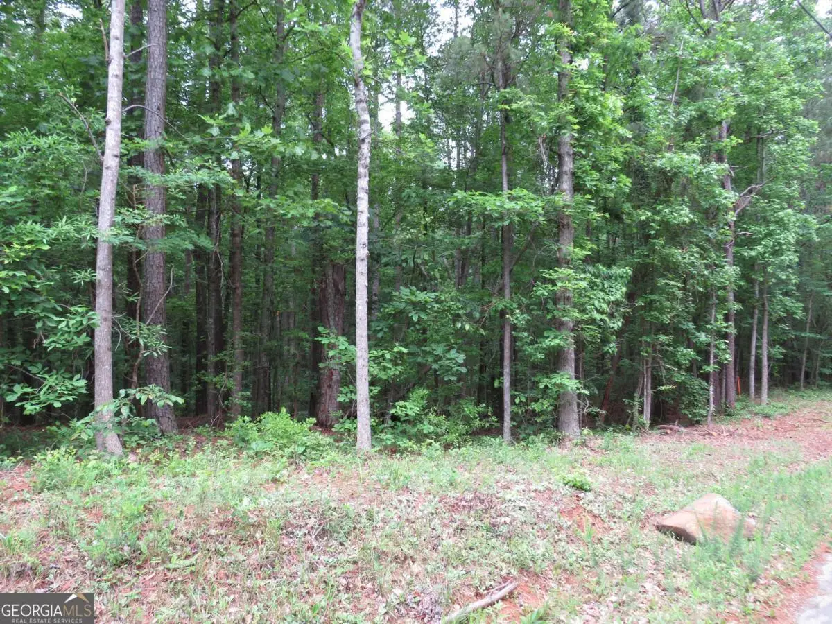 0 Doke Cohran Road, Dallas, GA 30157 - #1