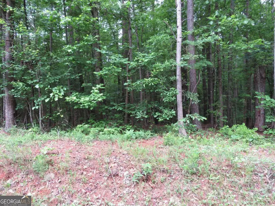 0 Doke Cohran Road, Dallas, GA 30157 - #2