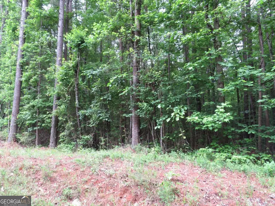 0 Doke Cohran Road, Dallas, GA 30157 - #3