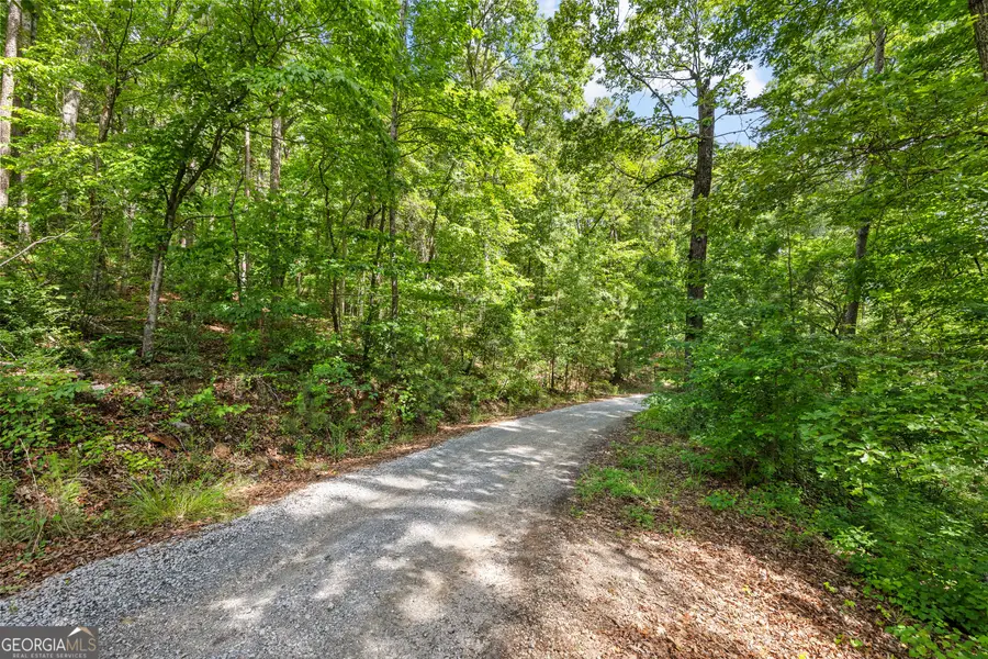 721 Rausch Ridge, Chattahoochee Hills, GA 30268 - #2