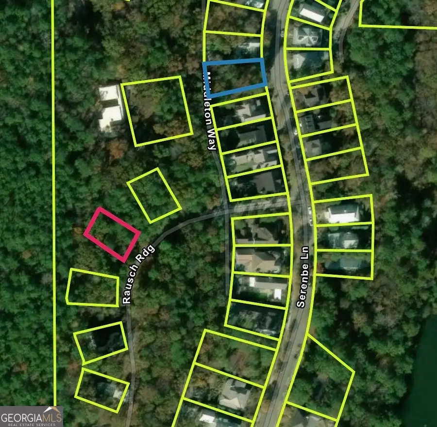 721 Rausch Ridge, Chattahoochee Hills, GA 30268 - #3
