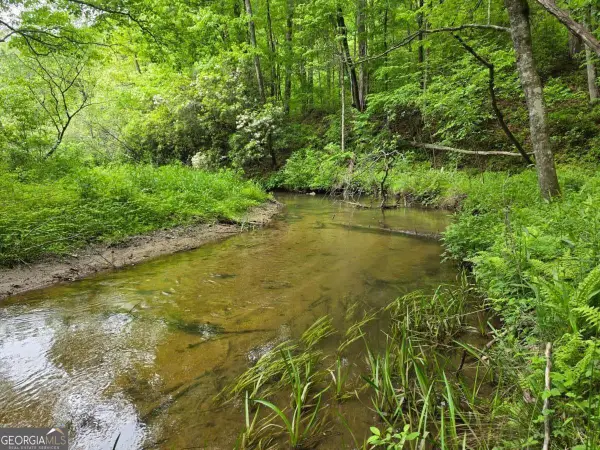 409 Harrison Sluder Road #140, Ellijay, GA 30540