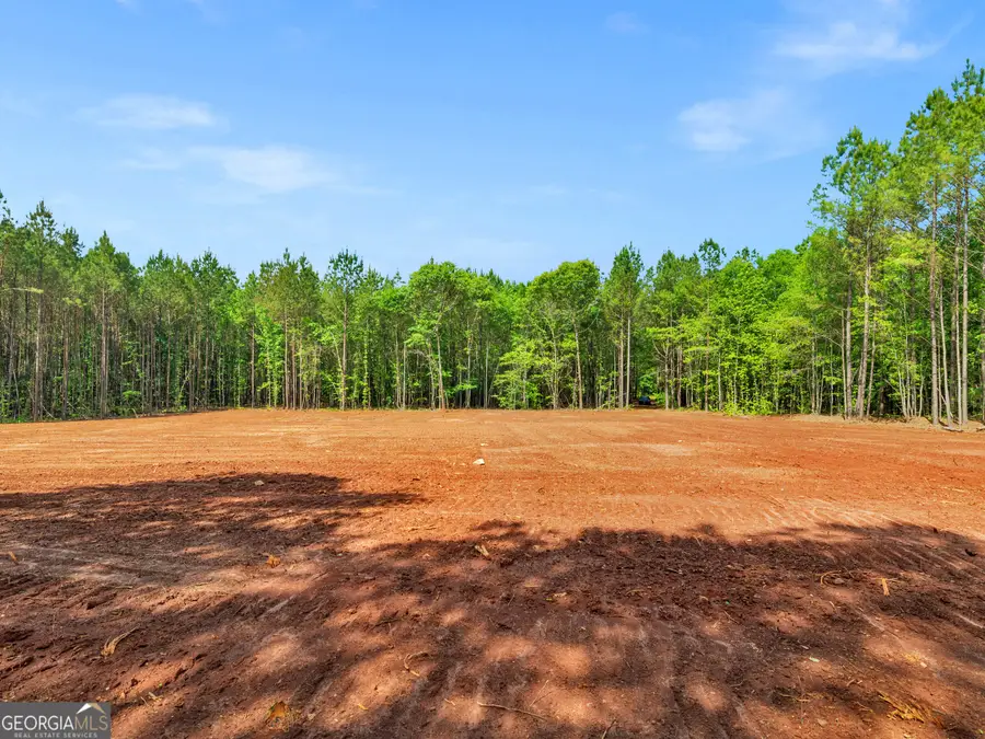 446 Parks Road, Forsyth, GA 31029 - #3