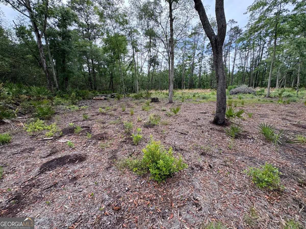 0 Piney Bluff Lot 5 Road, Waverly, GA 31565 - #1