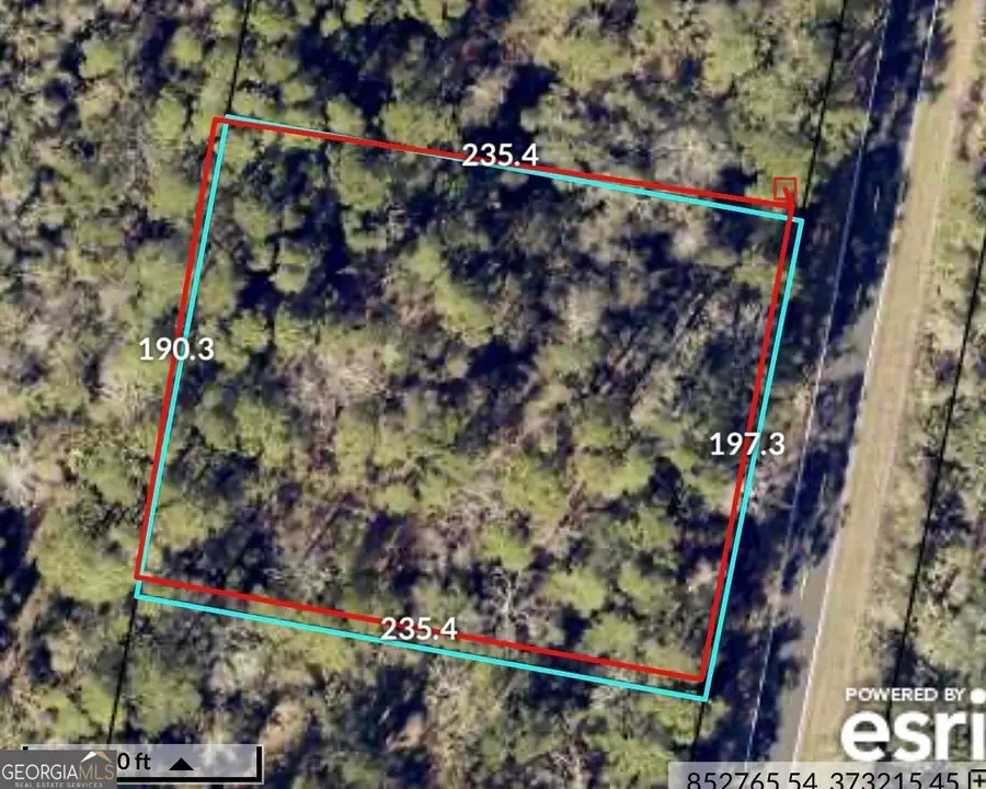 0 Piney Bluff Lot 5 Road, Waverly, GA 31565 - #2