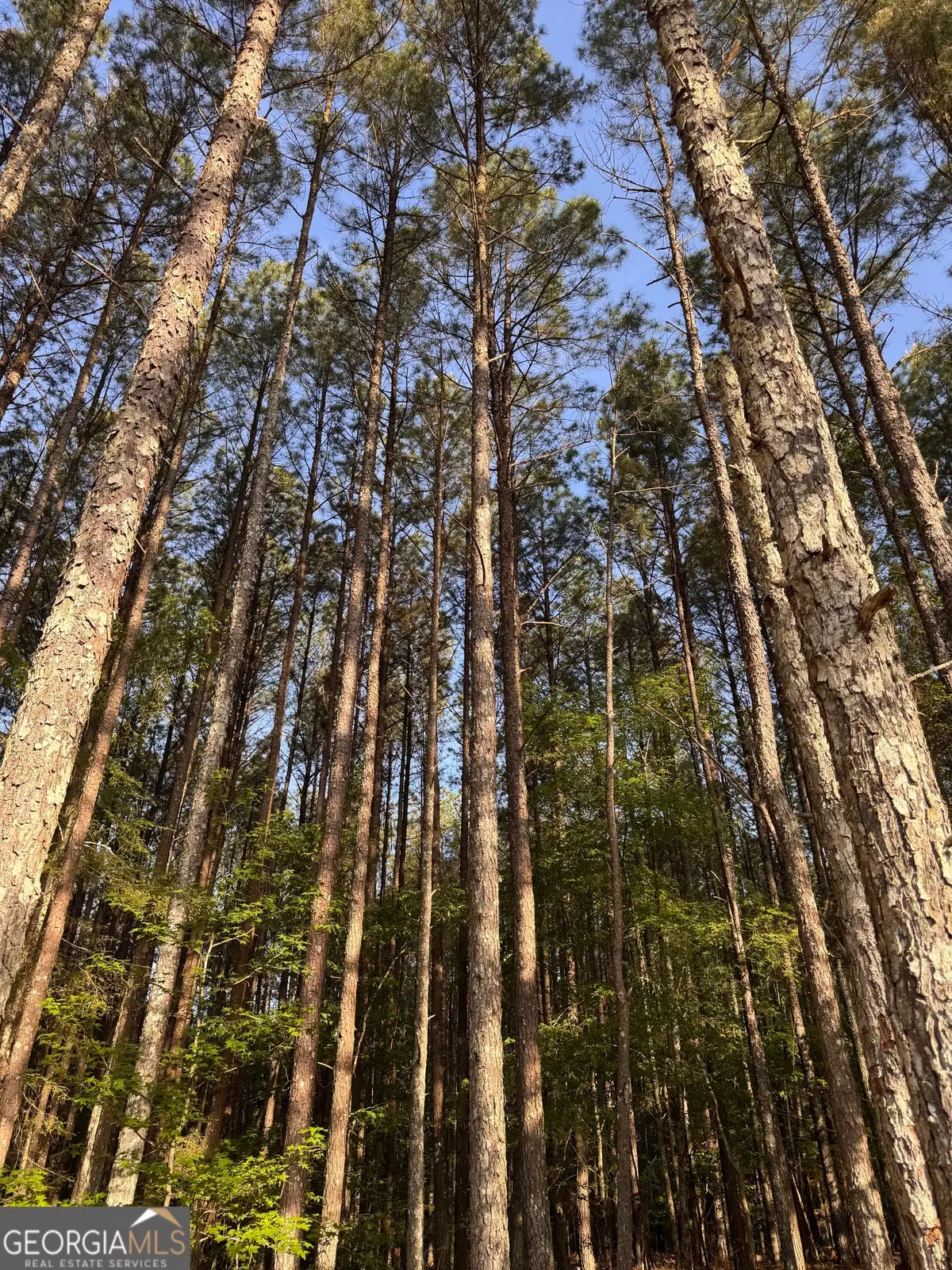 0 Conger Road, Union Point, GA 30669 - #1
