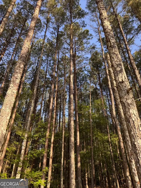 0 Conger Road, Union Point, GA 30669