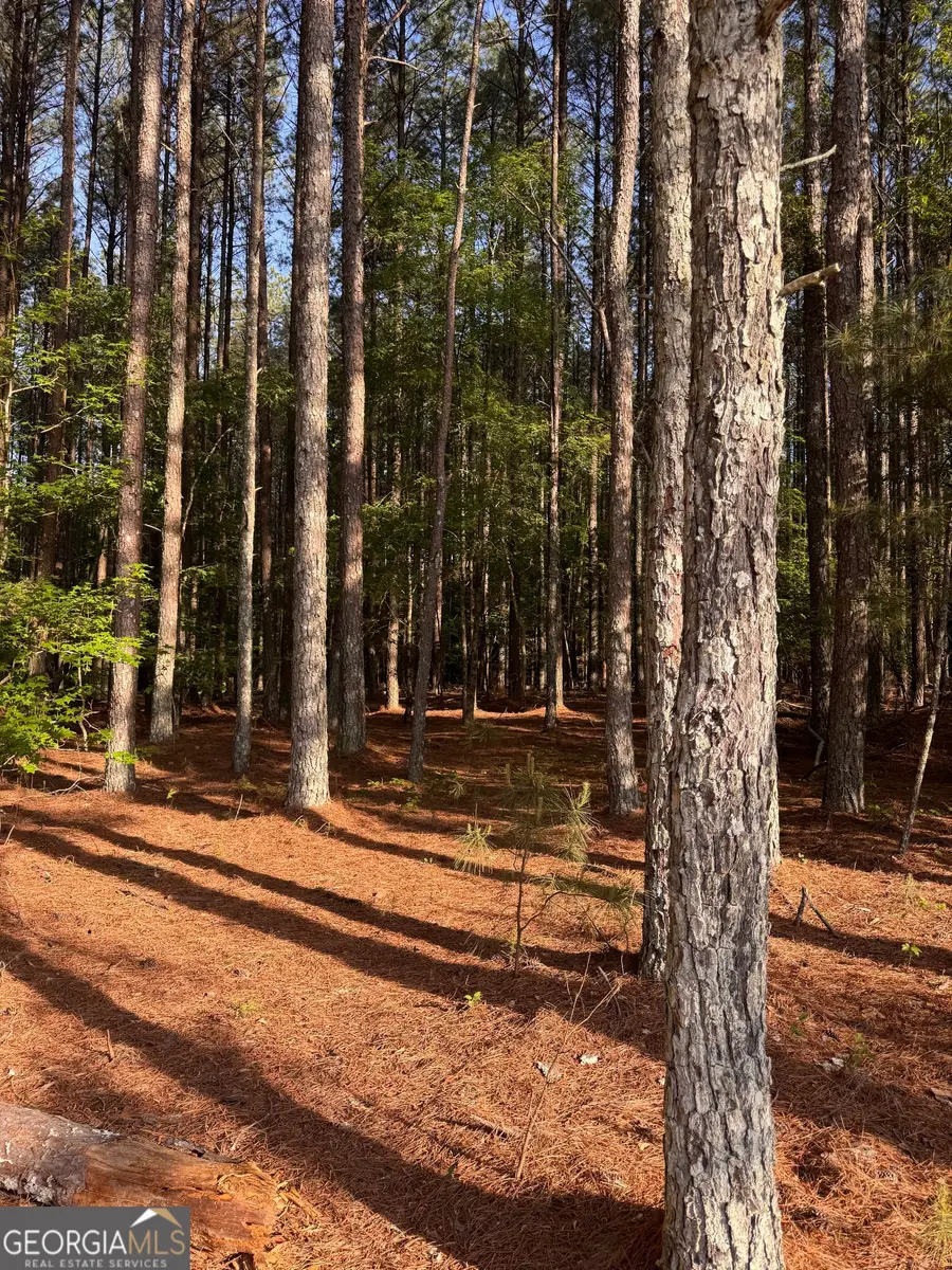 0 Conger Road, Union Point, GA 30669 - #2