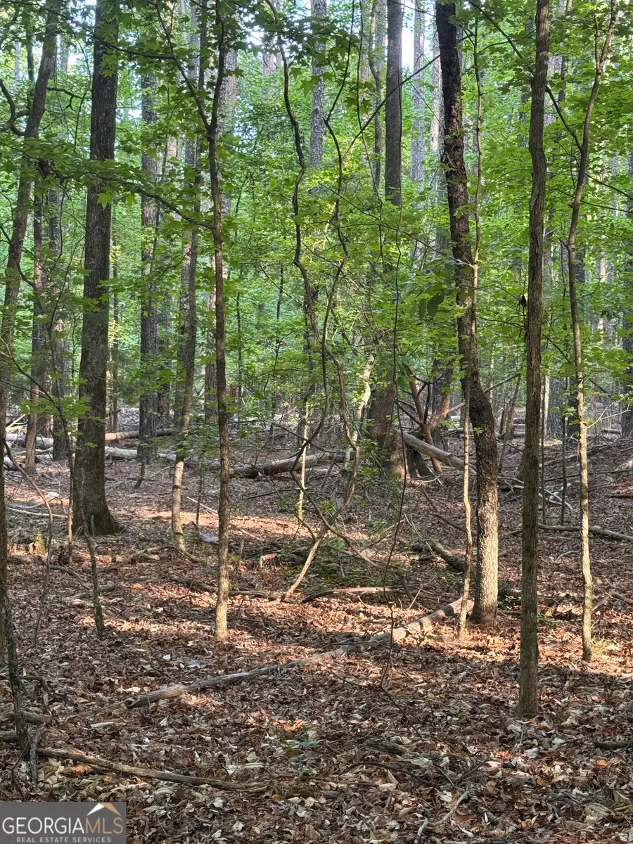 0 Conger Road, Union Point, GA 30669 - #3