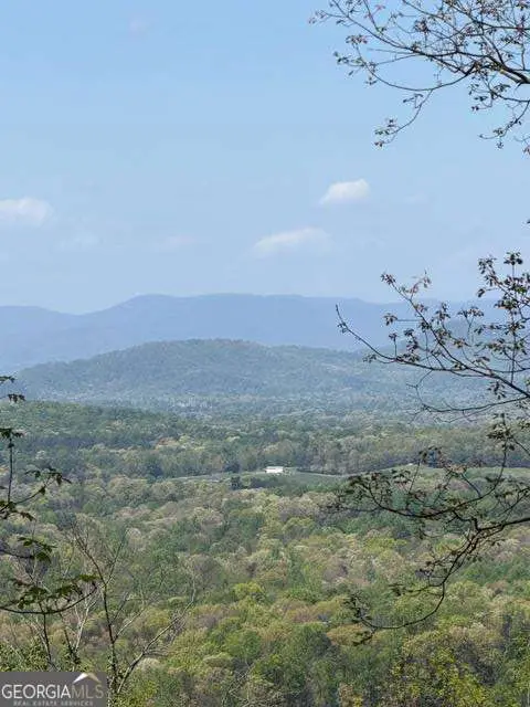 LOT 189 Hawks Nest Court #189, Ellijay, GA 30536 - #1