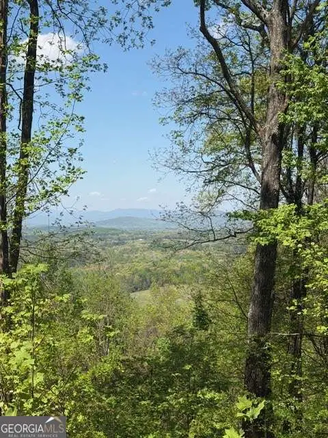 LOT 189 Hawks Nest Court #189, Ellijay, GA 30536 - #2