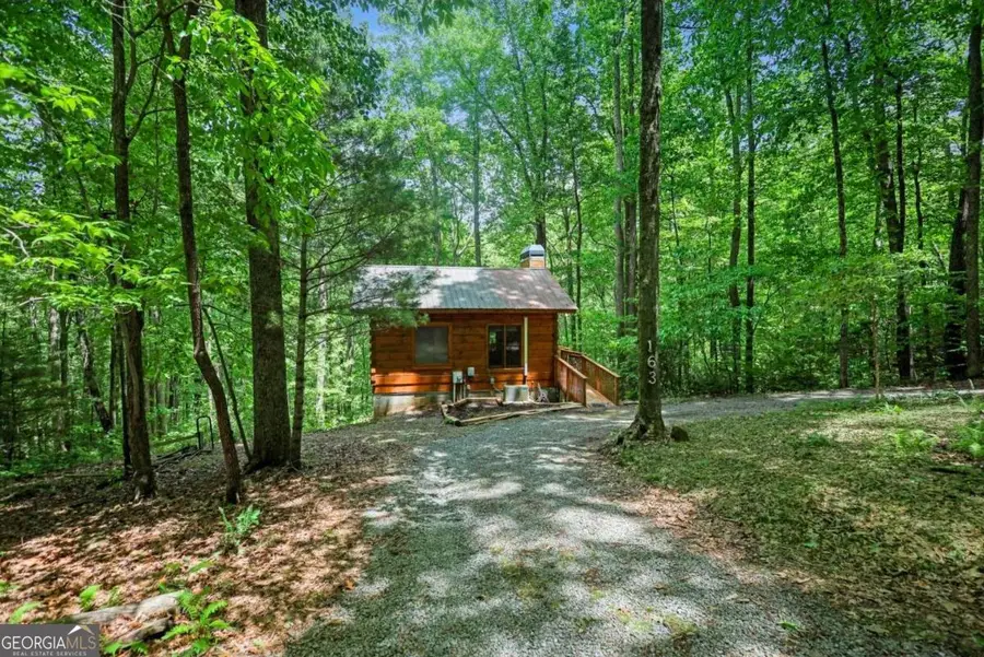 163 Little Rock Creek Trail #9, Cherry Log, GA 30522 - #2