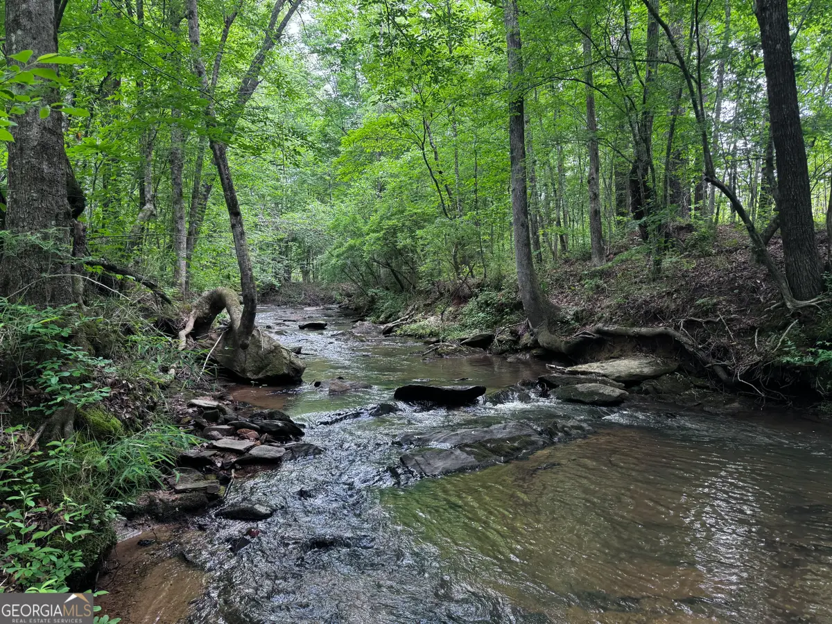 715+/- AC Ridgeway Road, Franklin, GA 30217 - #1