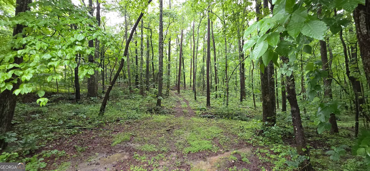 0 Brewsterfield Road, Cedartown, GA 30125 - #1