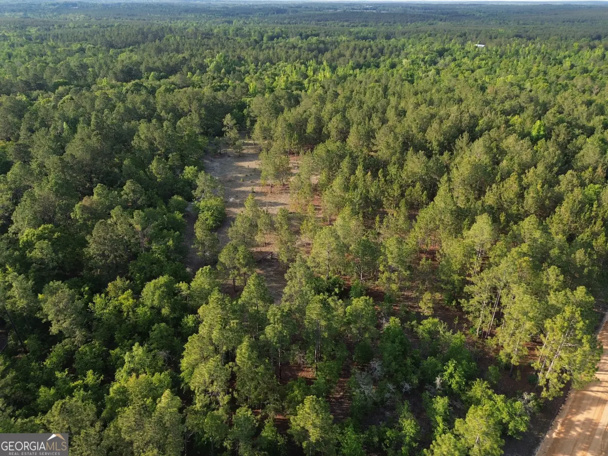 3570 William Dennis Road, Cadwell, GA 31009 - #1