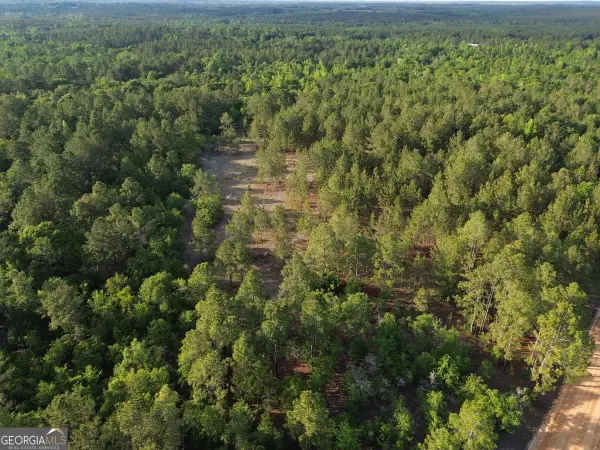 3570 William Dennis Road, Cadwell, GA 31009