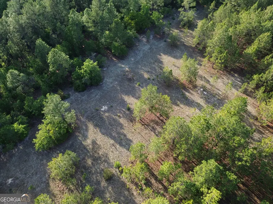 3570 William Dennis Road, Cadwell, GA 31009 - #3