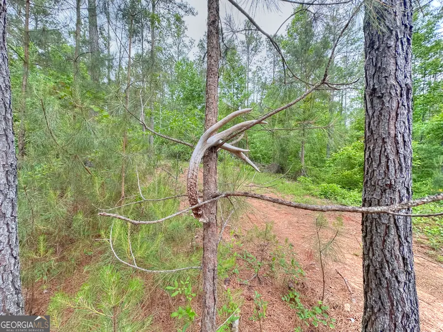 0 Rollin Mill #TRACT 6, Franklin, GA 30217 - #2