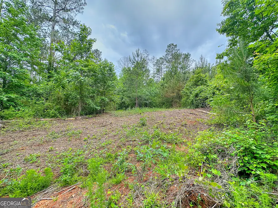 0 Rollin Mill #TRACT 6, Franklin, GA 30217 - #3