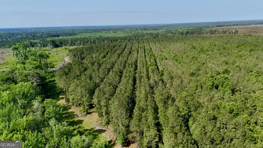 0 Bells Ferry Road, Lumber City, GA 31549 - #3