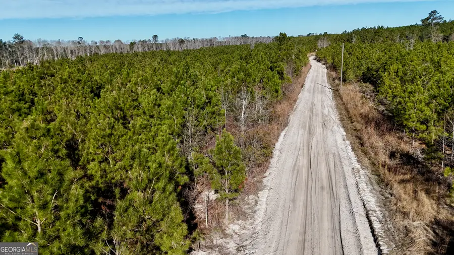 0 Tillman Cementery Road, Lumber City, GA 31549 - #3