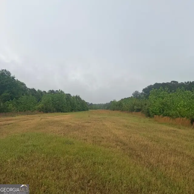 145 +/- ACRES George Smith Road, Talbotton, GA 31827 - #1