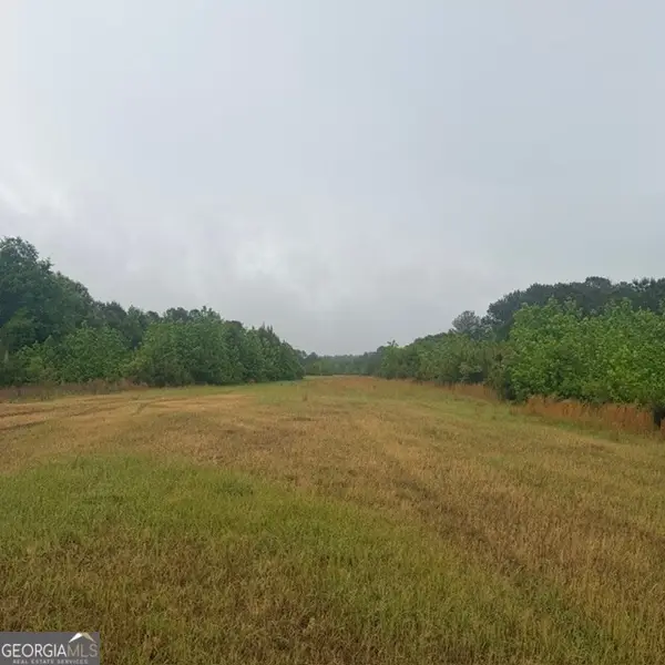 145 +/- ACRES George Smith Road, Talbotton, GA 31827