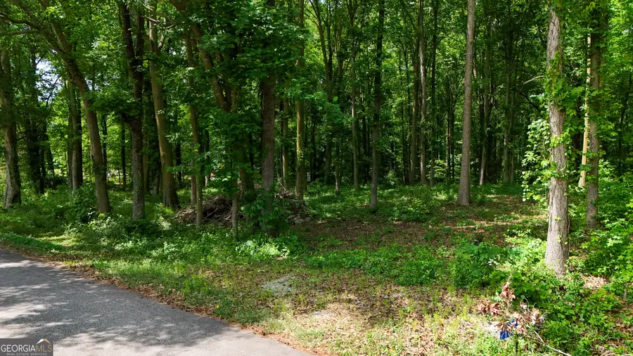 186 Doyle Road, Bowersville, GA 30516 - #3