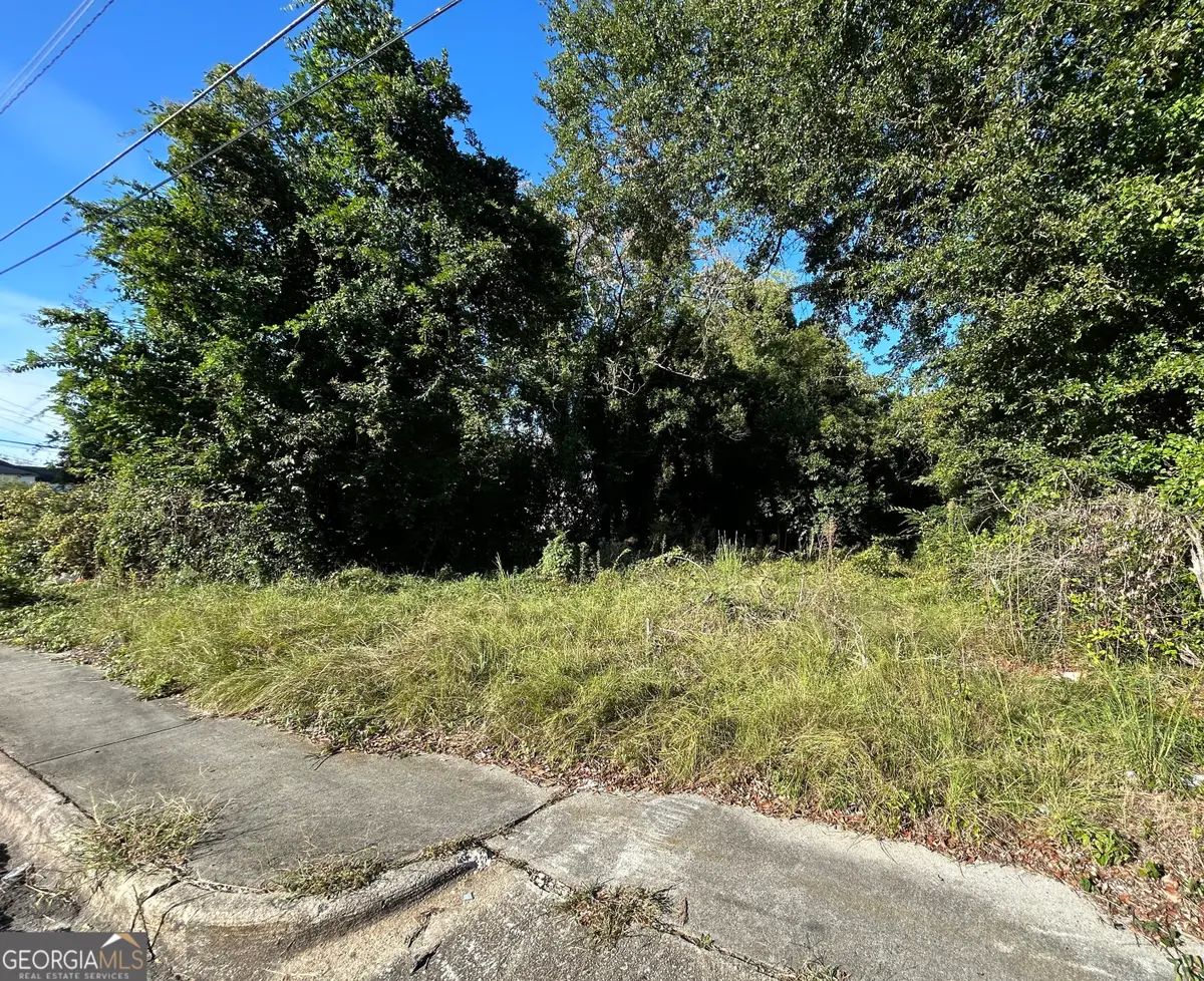 734 Fort Hill Street, Macon, GA 31217 - #1