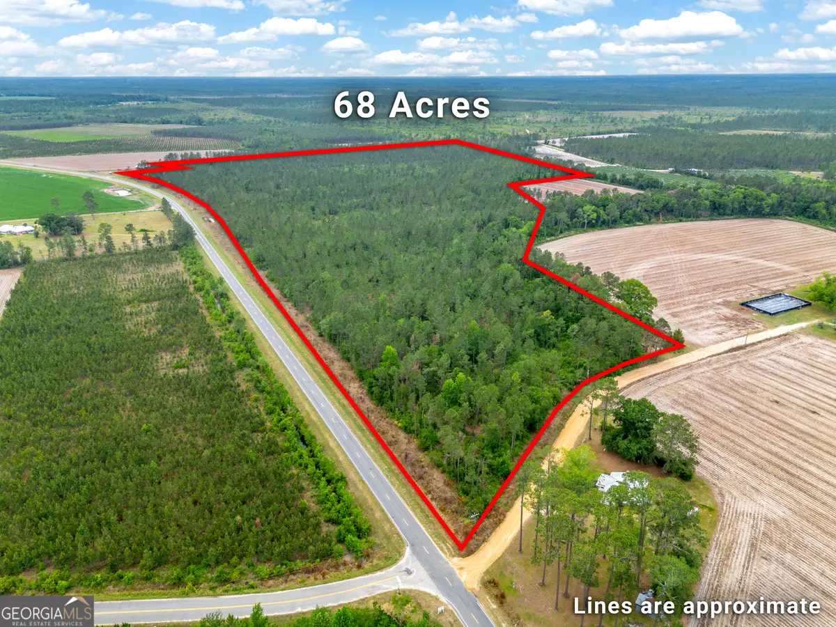 110 Lees Chapel Road, Nicholls, GA 31554 - #1