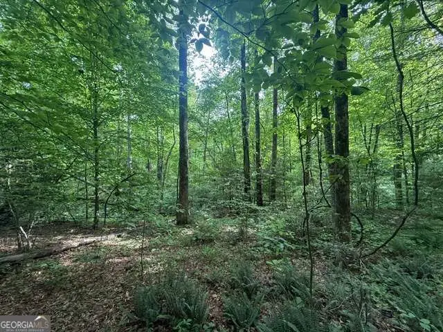 389 Fox Trot #TRACT B, Clayton, GA 30525 - #2