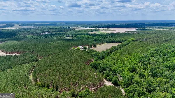0 Neily Wagon Road, McRae-Helena, GA 31055
