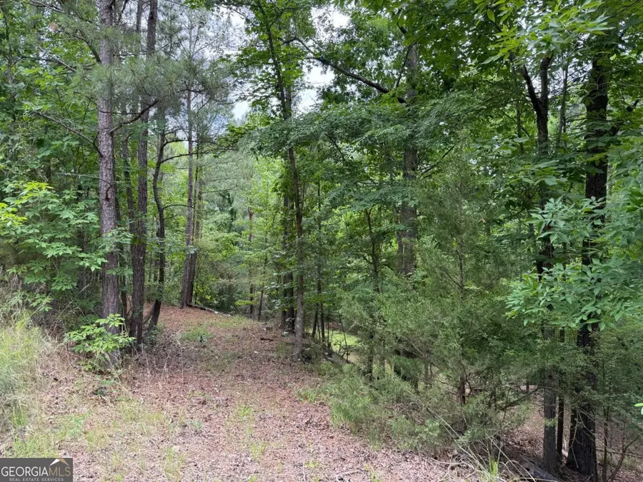 0 Bramlett Cir, Elberton, GA 30635 - #2