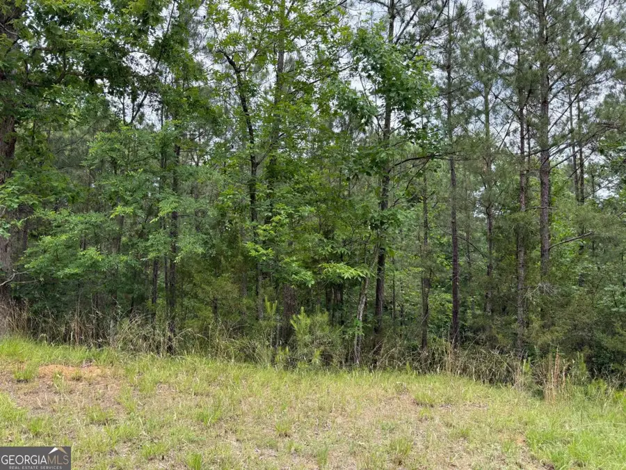 LOT 52 Bramlett Cr, Elberton, GA 30635 - #2