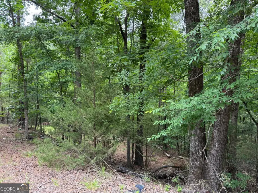 LOT 52 Bramlett Cr, Elberton, GA 30635 - #3