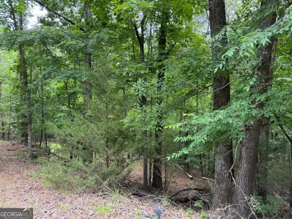LOT 51 Bramlett Cr, Elberton, GA 30635