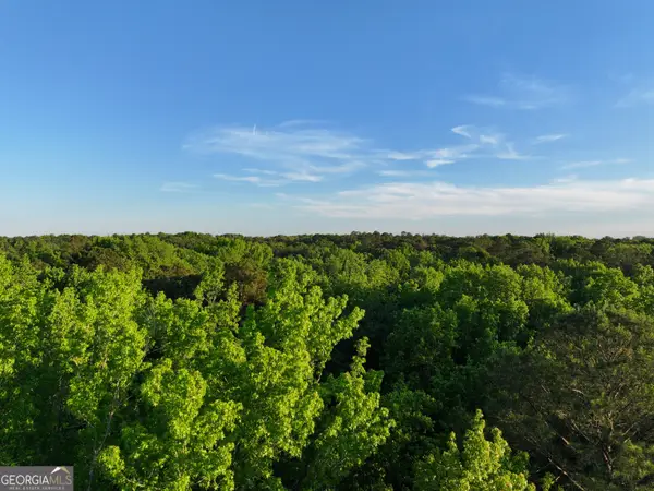 0 Standing Rock Road, Senoia, GA 30276