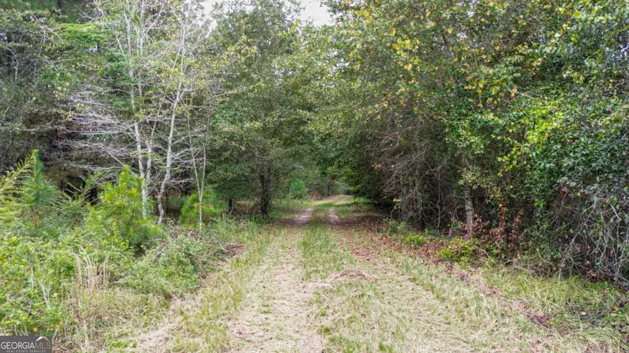 0 Willow Creek Drive, Oglethorpe, GA 31068 - #2